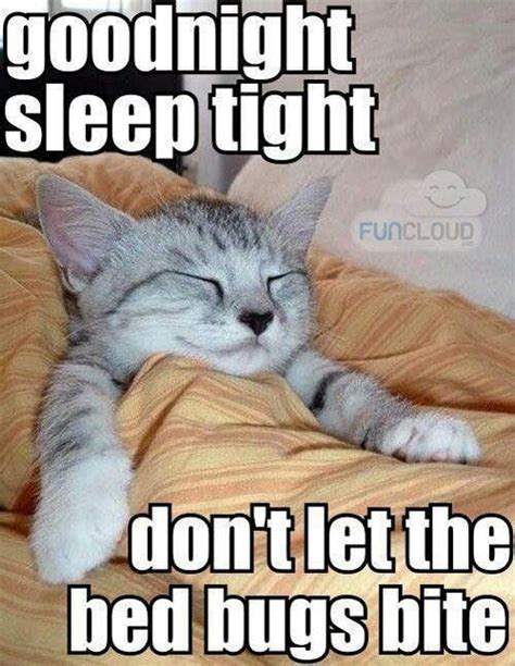 50 Cutest Goodnight Memes Funny Animal Quotes Funny