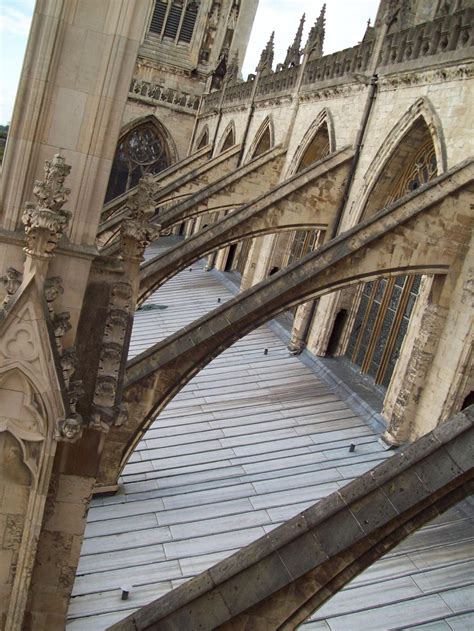 Flying Buttresses Of York Minster Smithsonian Photo Contest