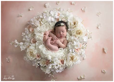 Baby Girl Photo Shoot Photography By Lindsay Martinsburg Wv