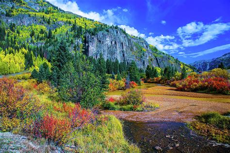 Fall Colors Near Ouray Colorado 9297 Photograph By Bob Augsburg Fine