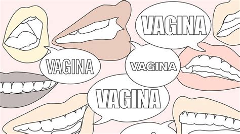 Teacher Fired For Using The Word Vagina Teen Vogue