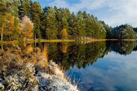 Wallpaper 1920x1280 Px Calm Fall Forest Lake Landscape Nature