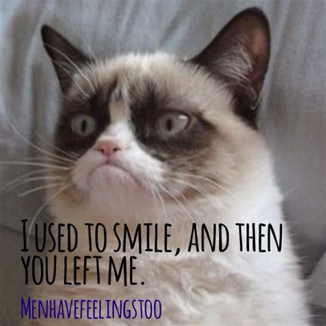I Used To Smile Funny Grumpy Cat Memes Grumpy Cat Humor Grumpy Cat