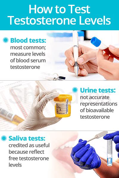 Testosterone Tests Shecares