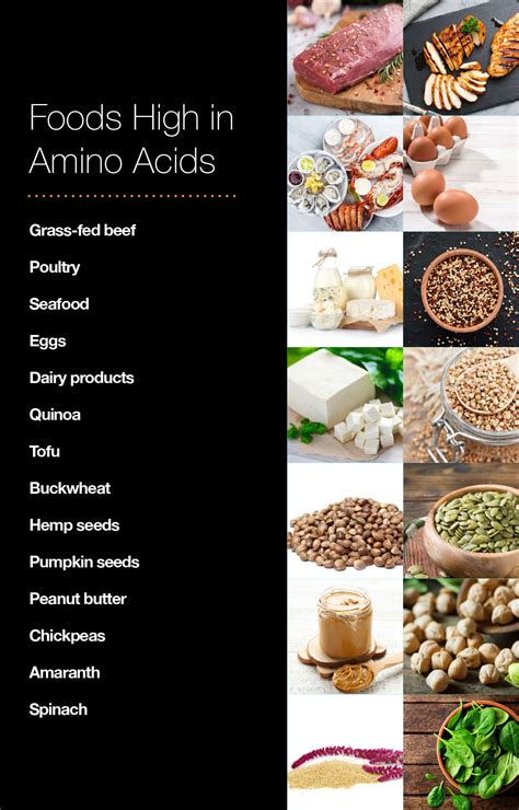 Foods High In Amino Acids Fatty Liver Disease Sexiz Pix