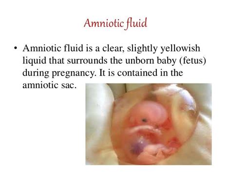 10sakina Amniotic Fluid