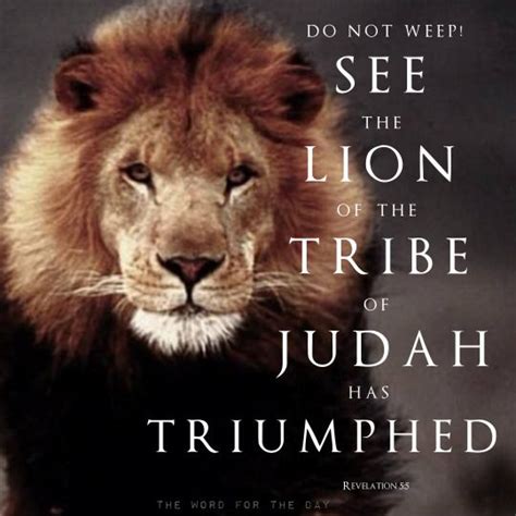 The Word For The Day Lion Bible Verse Lion Of Judah Tribe Of Judah