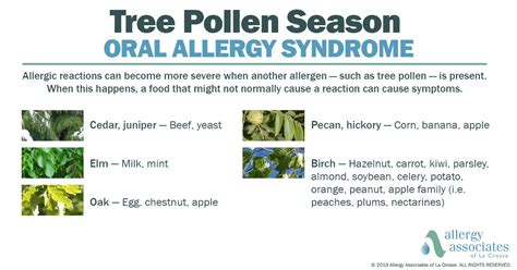 Oral Allergy Syndrome Related Foods Symptoms And Treatment