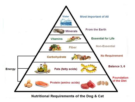 Nutritional Requirements Of The Dog And Cat Dr Bills Pet Nutrition
