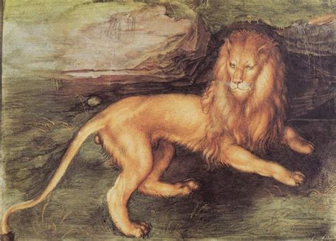 Lion 1494 Albrecht Durer
