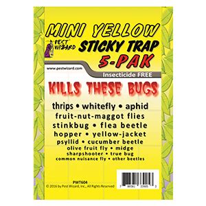 I used to make the inverted cone type traps but one day i didn't have any tape so i tried this. Mini Yellow Sticky Traps - Monitor & Trap Whitefly, Fungus ...