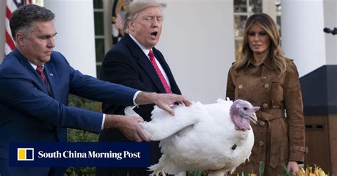 donald trump jokes about impeachment at thanksgiving turkey pardon as house panel invites him to