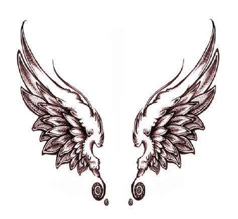 Simple Angel Wings Drawing