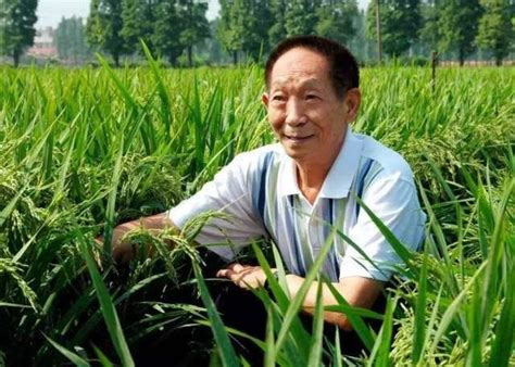 Yuan longping, the globally renowned chinese agronomist, known for developing the first hybrid rice strains, died of illness at 13:07 bjt on saturday at the age of 91, according to the hospital in changsha, central china's hunan province. How"bull" Yuan Longping is, this privilege is owned by ...