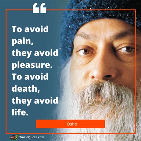 Top Most Famous Osho Quotes On Life Turtle Quote SexiezPix Web Porn