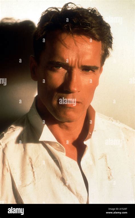 True Lies Year 1994 Director James Cameron Arnold Schwarzenegger Stock