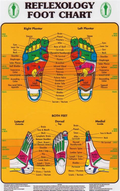Please don't invest your valuable money in buying unwanted treadmills and irest foot and calf reflexology massager. Foot Reflexology Chart (Pacific Institute) — Massage ...
