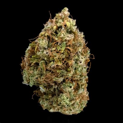 Highest Cbd Strain 2023 Review Main Features And Kinds