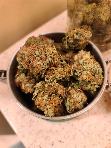 Malibu pie cannabis strain is predominantly indica, and its thc level is 21%. Jawa Pie Just put into jars : microgrowery