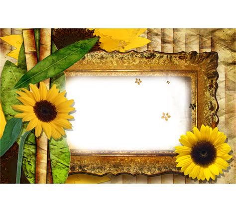 Sunflower Transparent Png Pictures Free Icons And Png