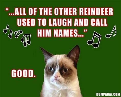 Five Grumpy Cat Memes For The Holiday Season Kittentoob
