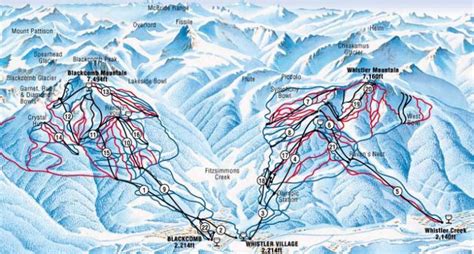 Whistler Ski Resort Guide Skiing In Whistler Ski Line