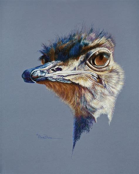 Attitude Aftican Ostrich Painting By Mary Dove