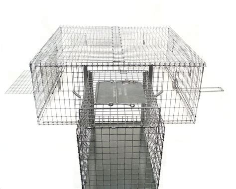 28 Hq Images Humane Cat Traps Uk Cat Trap Transfer Cage Mobile