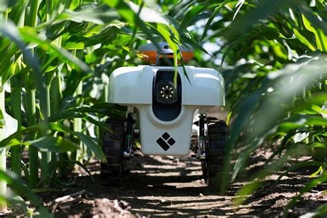 حضور رو به رشد ربات ها در مزارع کشاورزی خبرگزاری بازار