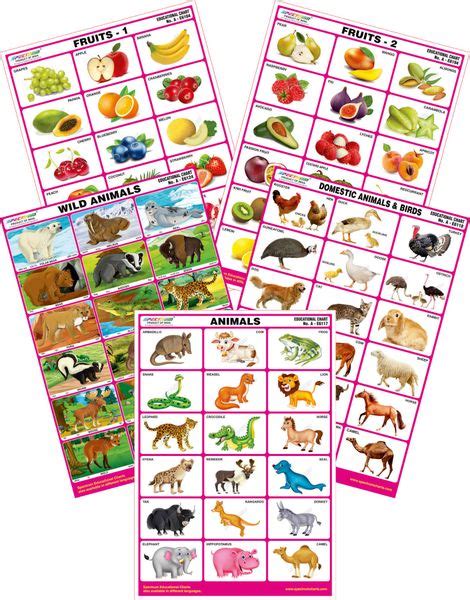 Spectrum Mirror Coat Educational Charts Set Of 5 Set 58 Animals
