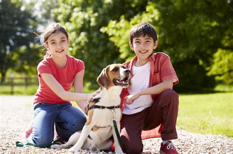 Heres How To Ensure Your Kids And Pets Become Friends Healthypets Blog