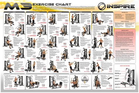 Weider Home Gym Exercise Chart Workout Chart Gym