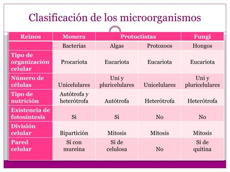Clasificacion De Los Microorganismosppt Las Bacterias Biologia Images