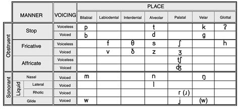 Phonology Representing Consonants And Vocal Graphically Linguistics