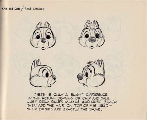 How To Draw Chip And Dale Character Design Animation