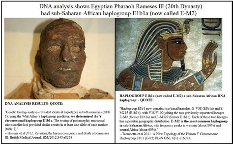 Dna Evidence On Egyptian Pharaohs Ramses Iii A Sub Saharan African Black