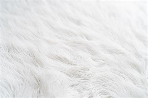 Premium Photo Textured White Background With Hairy Fur Carpet Close