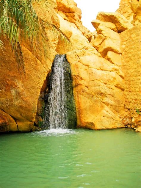 Waterfall In Mountain Oasis Chebika At Border Of Sahara Tunisia
