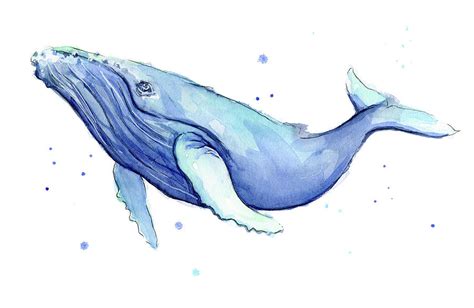Whale Painting Watercolor Whale Whale Art