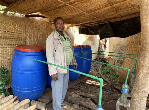 Ethiopia Jabanto Producers Anaerobic Washed Coffee Deliveries