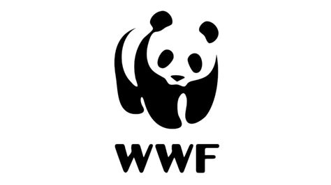 Panda Logo Company Logo With A Panda Mcascidos