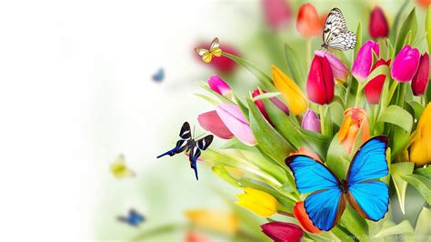 We did not find results for: Awesome Colorful Butterflies Hd Backgrounds Unique Hd ...