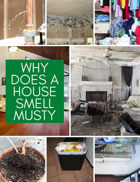 House Smell Musty Why And How To Get Rid Of It