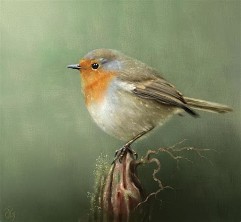 European Robin Redbreast Painting By Joe Gilronan Pixels