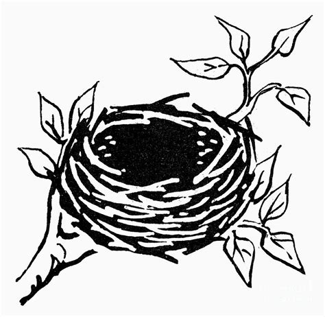 Simple Birds Nest Illustration Art Reference Images Pinterest