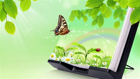 3d Images Of Nature For Desktop Background With Butterfly