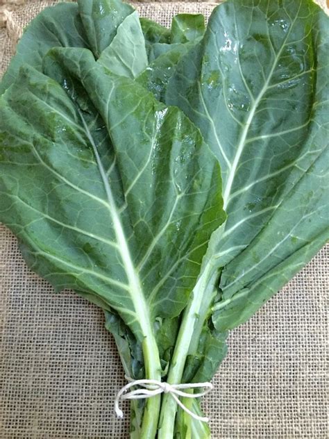 For one thing, it is being branded as the green cryptocurrency but what makes it. Simply Fresh-Week 14-Collards and Lemongrass - Holcomb Farm