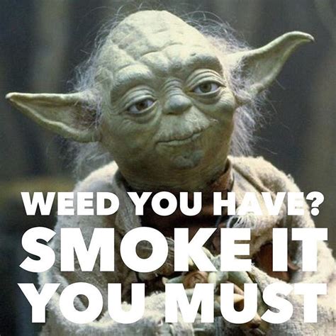 Yoda Weed Memes