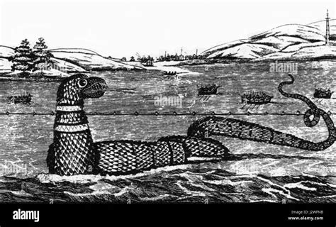 1817 Gloucester Sea Serpent Stock Photo Alamy