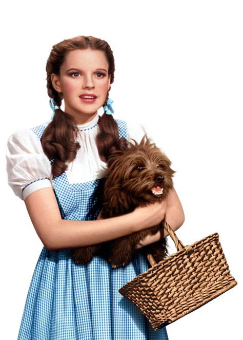 14 Best Toto Wizard Of Oz Images In 2020 Wizard Of Oz Wizard The